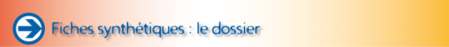 Fiches synthétiques : le dossier